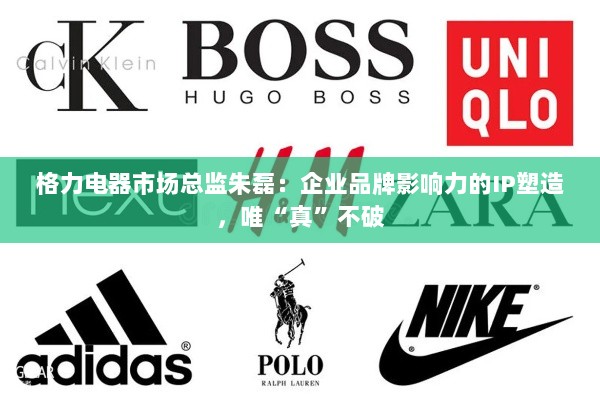 格力市场总监朱磊谈品牌IP塑造，真诚至上，以真破万法-图1