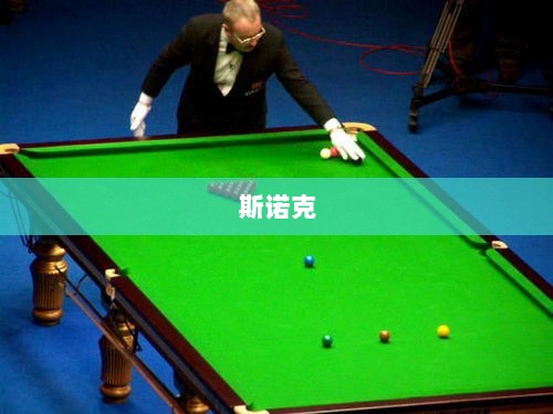 赵心童夺冠引发关注,东莞小镇能否续写高尔夫辉煌?-图1 赵心童夺冠引发关注,东莞小镇能否续写高尔夫辉煌?-图1