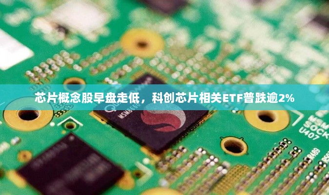 芯片概念股早盘走势疲软,科创芯片ETF普跌逾2%-图1 芯片概念股早盘走势疲软,科创芯片ETF普跌逾2%-图1