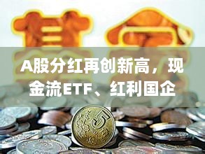 A股分红创纪录,本月ETF分红持续加码,现金流ETF与红利国企ETF再度派息!-图1 A股分红创纪录,本月ETF分红持续加码,现金流ETF与红利国企ETF再度派息!-图1