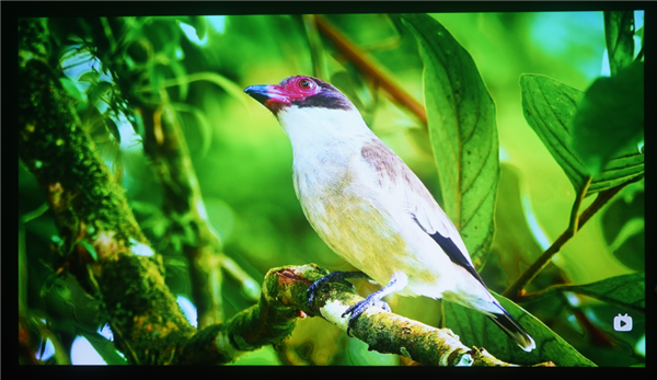 2025年618卧室投影仪选购指南，实测推荐，闭眼入这两款-图7