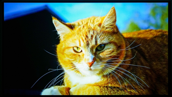 2025年618卧室投影仪选购指南，实测推荐，闭眼入这两款-图9