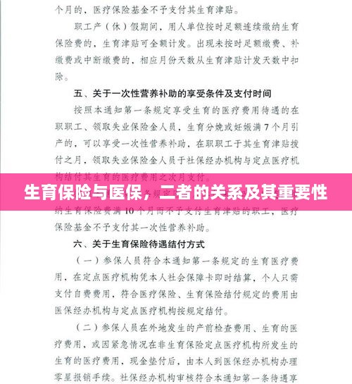 生育保险与医保,关系紧密,保障女性生育权益的重要性不言而喻-图1 生育保险与医保,关系紧密,保障女性生育权益的重要性不言而喻-图1