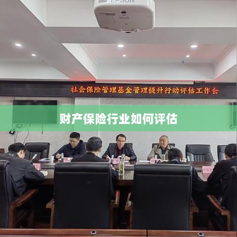 财产保险行业评估方法与策略解析-图1