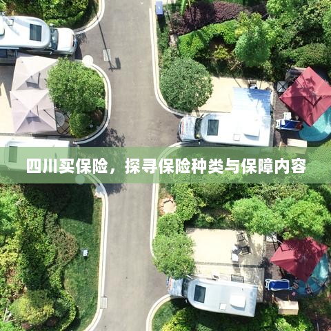 四川保险探秘，种类与保障内容全解析-图1