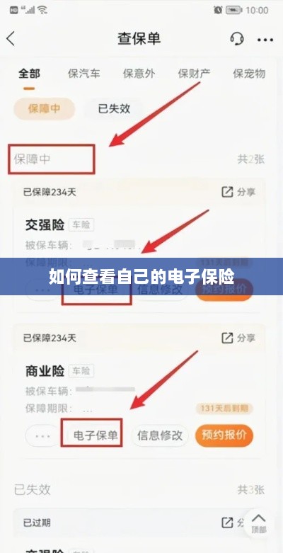 如何查看个人电子保险保单详情-图1