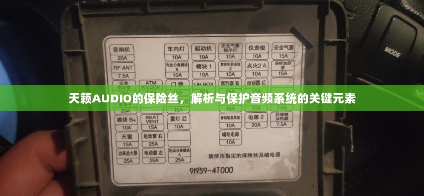 天籁AUDIO保险丝，解析与音频系统保护的关键要素-图1