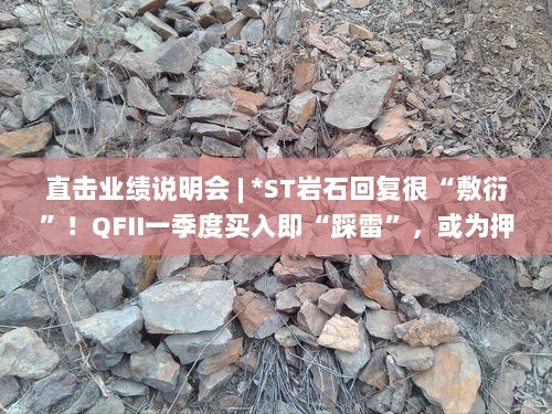 ST岩石业绩说明会回应质疑，QFII一季度投资遭遇‘雷区’，重组还是博弈？-图1