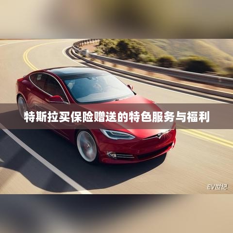特斯拉保险特惠,独家特色服务与丰厚赠品等你来享-图1 特斯拉保险特惠,独家特色服务与丰厚赠品等你来享-图1