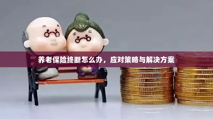 养老保险中断应对指南，解决方案与策略-图1