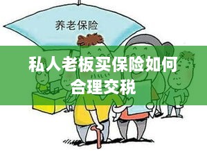 私人老板如何合理购买保险并交税指南-图1 私人老板如何合理购买保险并交税指南-图1