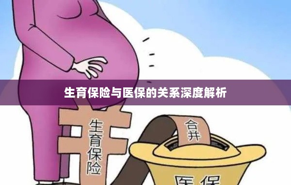 生育保险与医保关系的深度探讨-图1