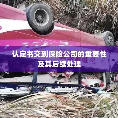 认定书交到保险公司的重要性及后续处理流程详解-图1 认定书交到保险公司的重要性及后续处理流程详解-图1