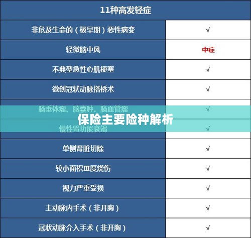 保险主要险种详解-图1 保险主要险种详解-图1