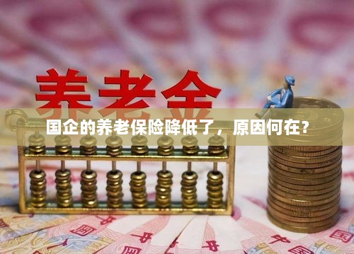 国企养老保险降低的原因探究-图1 国企养老保险降低的原因探究-图1