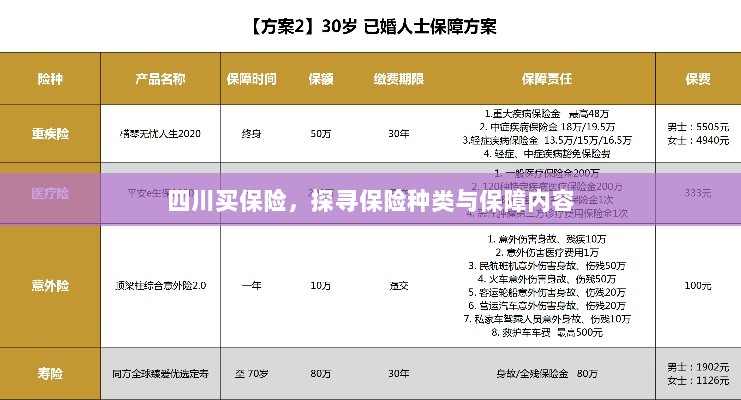 四川保险探秘,种类与保障内容全解析-图1 四川保险探秘,种类与保障内容全解析-图1
