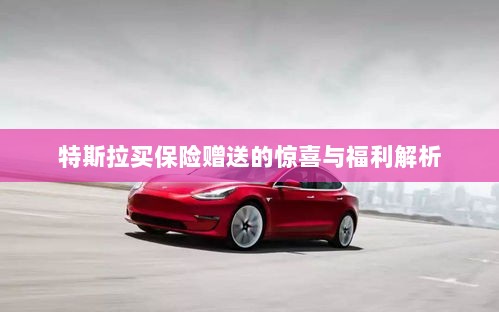 特斯拉保险赠品福利大解析，惊喜与优惠一网打尽！-图1