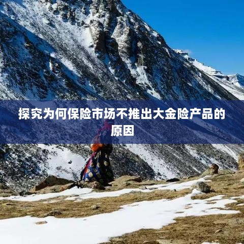 探究保险市场未推出大金险产品的原因分析-图1 探究保险市场未推出大金险产品的原因分析-图1