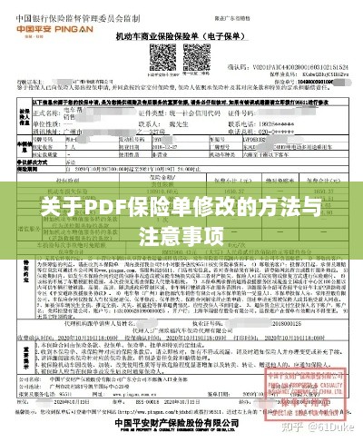 PDF保险单修改指南及注意事项-图1