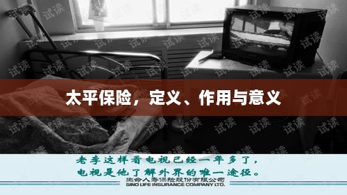 太平保险,定义、功能及其重要性-图1 太平保险,定义、功能及其重要性-图1