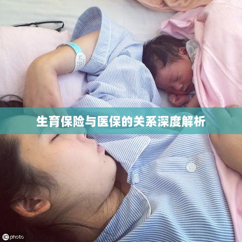生育保险与医保关系的深度探讨-图1 生育保险与医保关系的深度探讨-图1