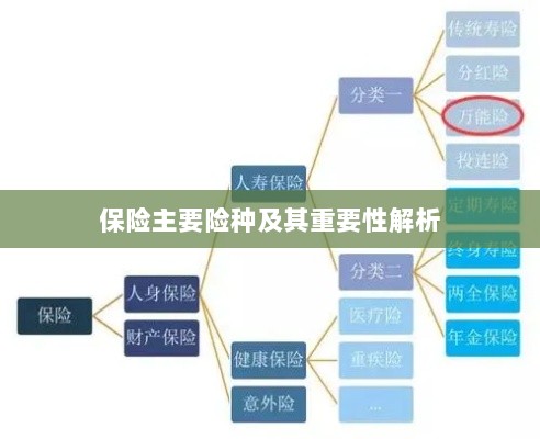 保险主要险种及其重要性深度解析-图1
