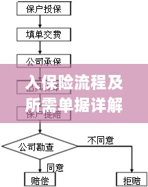 保险投保流程与所需单据全面解析-图1 保险投保流程与所需单据全面解析-图1