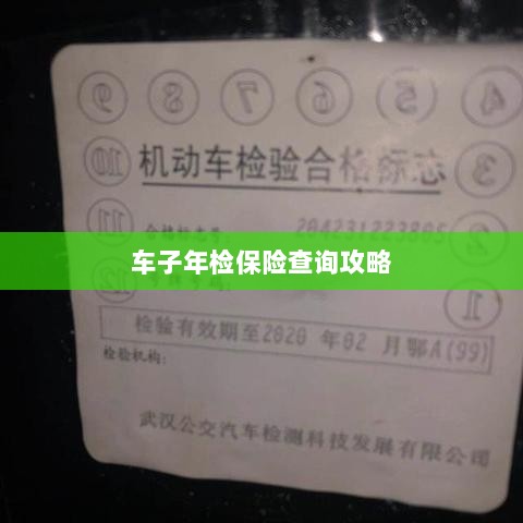 车辆年检与保险查询指南-图1