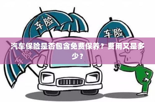 汽车保险中的免费保养与费用详解-图1