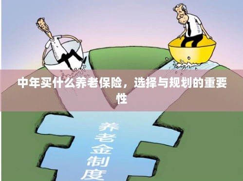 中年养老保险的选择与规划，关键性与策略探讨-图1