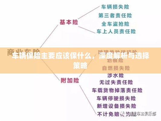 深度解析,车辆保险应该保什么及选择策略-图1 深度解析,车辆保险应该保什么及选择策略-图1
