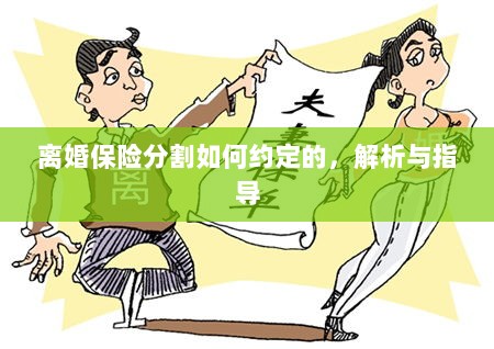 离婚保险分割约定详解与指导手册-图1 离婚保险分割约定详解与指导手册-图1