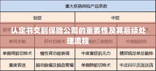 认定书对保险公司的重要性及后续处理流程详解-图1 认定书对保险公司的重要性及后续处理流程详解-图1