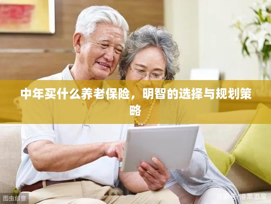 中年明智之选,养老保险的规划与策略-图1 中年明智之选,养老保险的规划与策略-图1