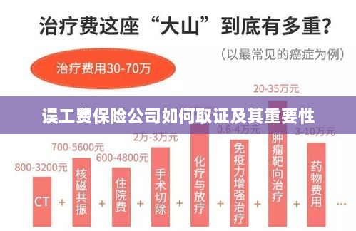 保险公司如何取证误工费及其重要性探究-图1