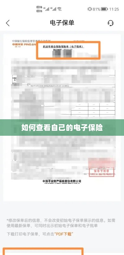 如何查看个人电子保险保单详情-图1 如何查看个人电子保险保单详情-图1