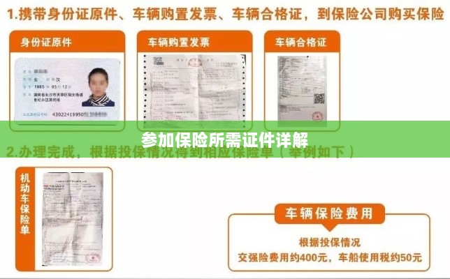 保险参保所需证件详解-图1 保险参保所需证件详解-图1