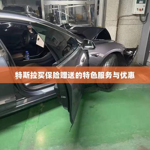 特斯拉保险特惠，买保险即享特色服务与优惠大礼包-图1