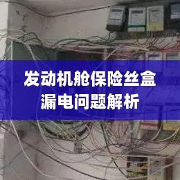 发动机舱保险丝盒漏电问题深度解析-图1