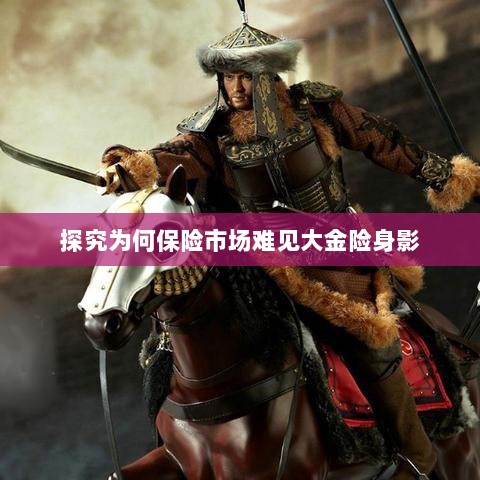大金险在保险市场难觅踪迹的探究-图1 大金险在保险市场难觅踪迹的探究-图1