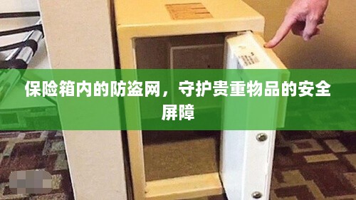 保险箱内防盗网,守护贵重物品的安全卫士-图1 保险箱内防盗网,守护贵重物品的安全卫士-图1