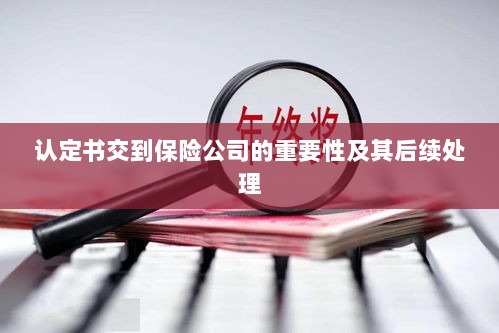 认定书交到保险公司的重要性及后续处理流程详解-图1 认定书交到保险公司的重要性及后续处理流程详解-图1