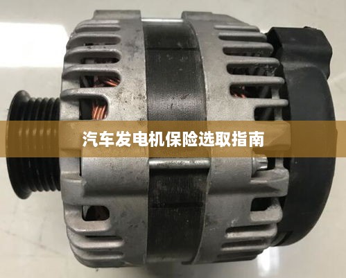 汽车发电机保险选购指南-图1
