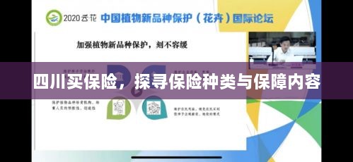四川保险探秘，种类与保障内容全解析-图1