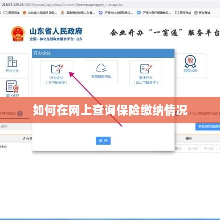 网上查询保险缴纳情况攻略-图1