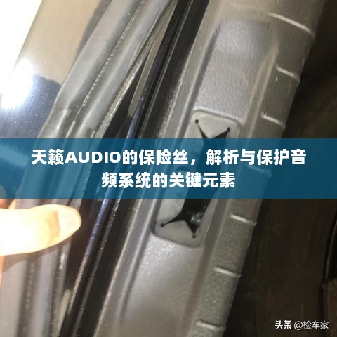 天籁AUDIO保险丝，解析与音频系统保护的关键要素-图1