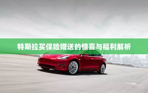 特斯拉保险赠品福利大解析，惊喜与优惠一网打尽！-图1