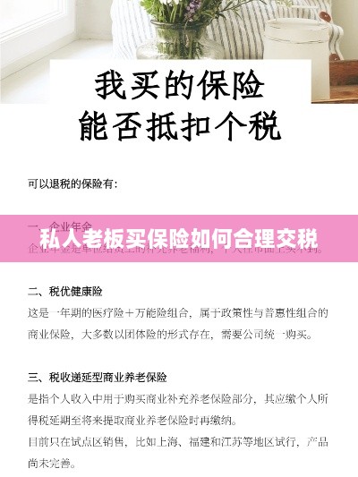 私人老板如何合理购买保险并交税指南-图1