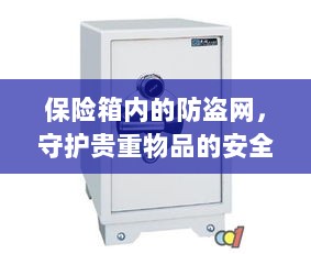 保险箱内防盗网,守护贵重物品的安全屏障-图1 保险箱内防盗网,守护贵重物品的安全屏障-图1