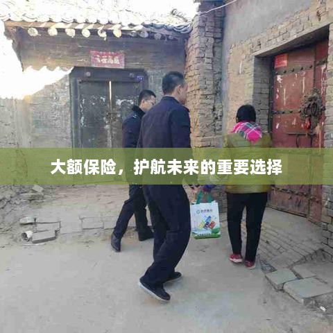 大额保险,守护未来安全的重要选择-图1 大额保险,守护未来安全的重要选择-图1